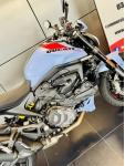 DUCATI MONSTER+ GRESINI - NOMBREUSES OPTIONS / MONSTER +
