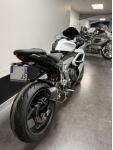 TRIUMPH 	DAYTONA 660 A2