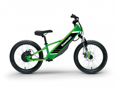 Electrode 20 Image de Electrode 20